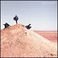MY DISCO / マイ・ディスコ / PARADISE