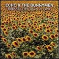 ECHO & THE BUNNYMEN / エコー&ザ・バニーメン / BREAKING THE BACK OF LOVE