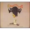 BOWERBIRDS / バウアーバーズ / HYMNS FOR A DARK HORSE