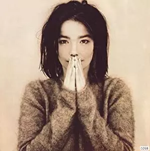 入荷!!】 BJORK (ビョーク) の作品群が、DDM方式で高音質のアナログ盤
