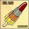 BIG ARM / ビッグ・アーム / RADIATOR / ラジエーター