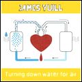 JAMES YUILL / ジェームズ・ユール / TURNING DOWN WATER FOR AIR