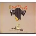 BOWERBIRDS / バウアーバーズ / HYMNS FOR A DARK HORSE / ヒムズ・フォー・ア・ダーク・ホース
