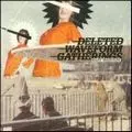 DELETED WAVEFORM GATHERINGS / BABY WARFARE