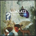 WOMBATS / ウォンバッツ / IS THIS CHRISTMAS?