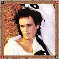 ADAM ANT / アダム・アント / STRIP