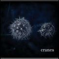 CRANES / クレインズ / CRANES