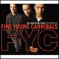 FINE YOUNG CANNIBALS / ファイン・ヤング・カニバルズ / SHE DRIVES ME CRAZY : THE BEST OF...
