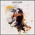 PETE DOHERTY / ピート・ドハーティ / GRACE/WASTELANDS (CD+DVD SPECIAL EDITION) / グレイス・ウェイストランズ (スペシャル・エディション)