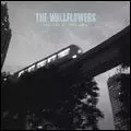 WALLFLOWERS / ウォールフラワーズ / COLLECTED: 1996-2005