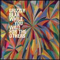 GRIZZLY BEAR / グリズリー・ベア / WHILE YOU WAIT FOR THE OTHERS