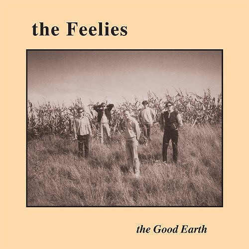 FEELIES / フィーリーズ / GOOD EARTH (LP/180G)