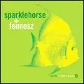 SPARKLEHORSE + FENNESZ / IN THE FISHTANK 15