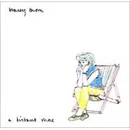 TRACEY THORN / トレイシー・ソーン / ディスタント・ショア [A DISTANT SHORE]