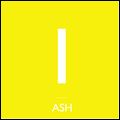 ASH / アッシュ / NEON
