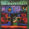 LEARNING TO WALK/BOO RADLEYS/ブー・ラドリーズ｜ROCK / POPS / INDIE