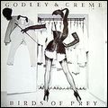 GODLEY & CREME / ゴドレイ・アンド・クレーム / バーズ・オブ・プレイ+5 [BIRDS OF PREY]