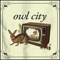 OWL CITY / アウル・シティー / FIREFLIES