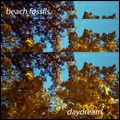 BEACH FOSSILS / ビーチ・フォッシルズ / DAYDREAM