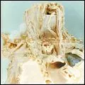 PALE SAINTS / ペイル・セインツ / IN RIBBONS