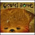 CROWDED HOUSE / クラウデッド・ハウス / INTRIGUER (CD+DVD)