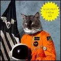 KLAXONS / クラクソンズ / SURFING THE VOID (2LP)