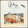ANTONY & THE JOHNSONS / アントニー&ザ・ジョンソンズ / SWANLIGHTS (LP)