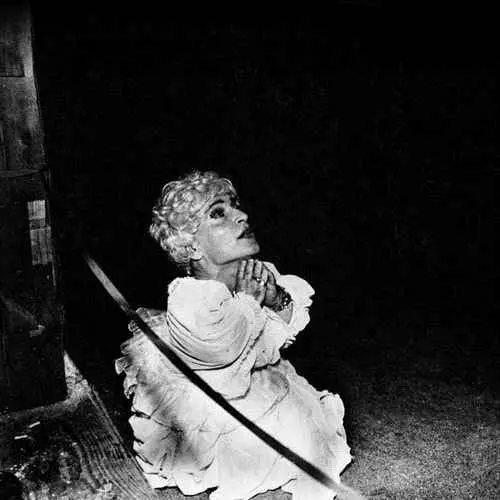 DEERHUNTER / ディアハンター / HALCYON DIGEST (LP)