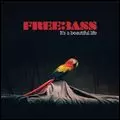 FREEBASS / フリーベース / IT'S A BEAUTIFUL LIFE (2CD)