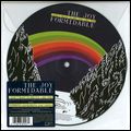 JOY FORMIDABLE / ジョイ・フォーミダブル / I DON'T WANT TO SEE YOU LIKE THIS