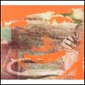 DEERHUNTER / ディアハンター / FLOURESCENT GREY EP