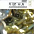 V.A. (LES DISQUES DU CREPUSCULE) / オムニバス(レ・ディスク・デュ・クレプスキュール) / AFTER TWILIGHT