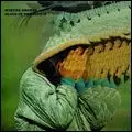 WINTER DRONES / BLOOD IN THE COFFIN