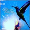 CAPTIVE HEARTS / キャプティヴ・ハーツ / ハミングバード [HUMMINGBIRD]