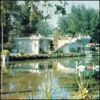 DUCKTAILS / ダックテイルズ / DUCKTAILS III: ARCADE DYNAMICS (LP)