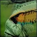 WINTER DRONES / BLOOD IN THE COFFIN (LP)