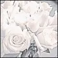 KORALLREVEN / コーラルレイヴン / HONEY MINE