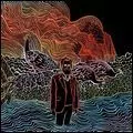 IRON & WINE / アイアン・アンド・ワイン / KISS EACH OTHER CLEAN (LP)