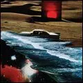 PORCELAIN RAFT / TIP OF YOUR TONGUE