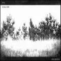 DODOS / ドードース / NO COLOR (LP)