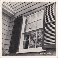 BEACH FOSSILS / ビーチ・フォッシルズ / WHAT A PLEASURE EP (12")