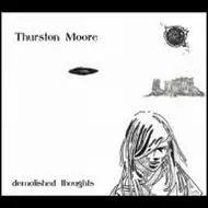 THURSTON MOORE / サーストン・ムーア / デモリッシュド・ソウツ [DEMOLISHED THOUGHTS]