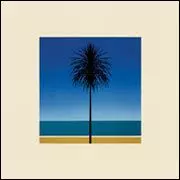 METRONOMY / メトロノミー / ENGLISH RIVIERA (LP)