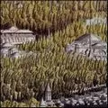 TAPE / テープ / REVELATIONES