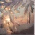 AMIINA / アミーナ / ANIMAMINA EP