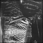 DIRTY BEACHES / ダーティ・ビーチズ商品一覧｜OLD ROCK｜ディスク