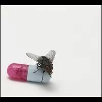 アイム・ウィズ・ユー　レッド・ホット・チリ・ペッパーズ　未開封 I'M WITH YOU/RED HOT CHILI PEPPERS/レッド・ホット・チリ