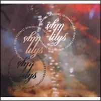 LILYS / EVERYTHING WRONG IS IMAGINARY