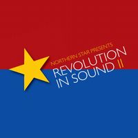 V.A. (A LOT OF SHOEGAZER BANDS) / REVOLUTION IN SOUND II 【UNION PRICE !!】