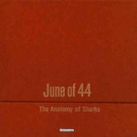 JUNE OF 44 / ANATOMY OF SHARKS
